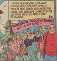 Hideaway Hollow Band Target Comics.png