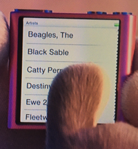 Beagles Zootopia.png